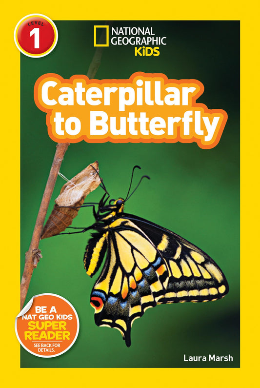 National Geographic Readers: Caterpillar to Butterfly - 6236