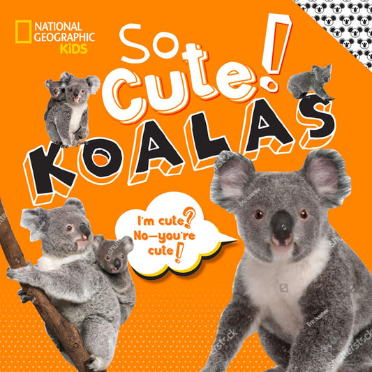 So Cute! Koalas (Cool/Cute)