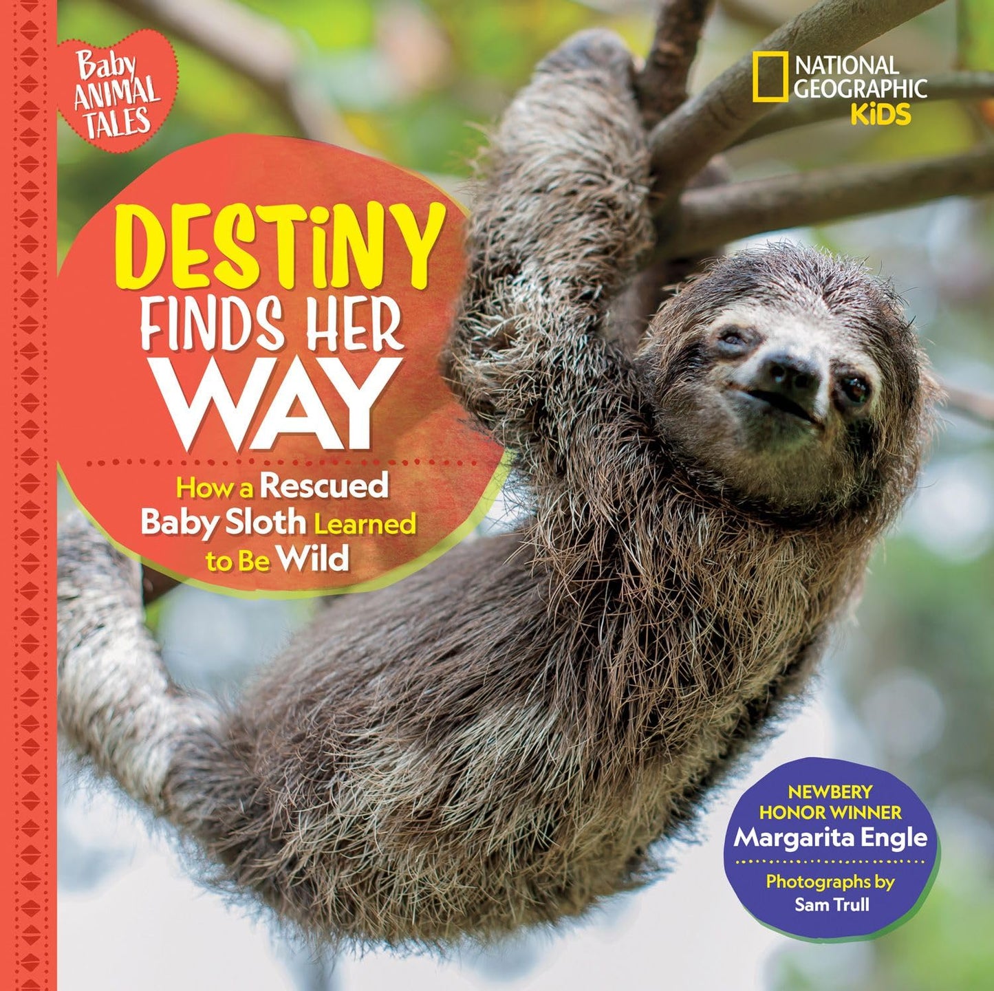 Destiny Finds Her Way: How a Rescued Baby Sloth Learned to Be Wild (Baby Animal Tales) - 574