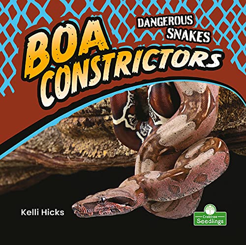 Boa Constrictors (Dangerous Snakes)