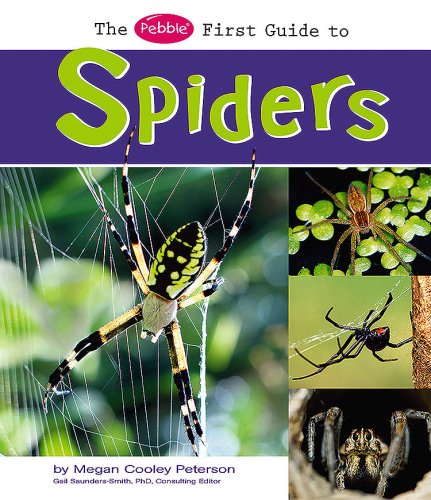The Pebble First Guide to Spiders