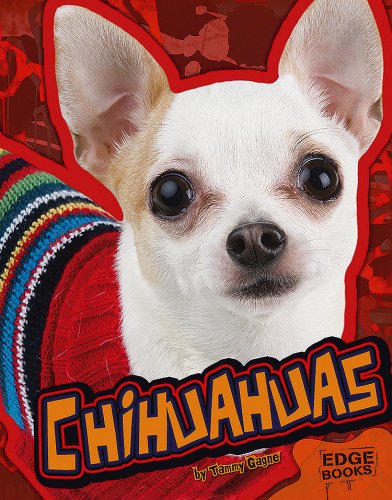 Chihuahuas (Edge Books: All About Dogs)