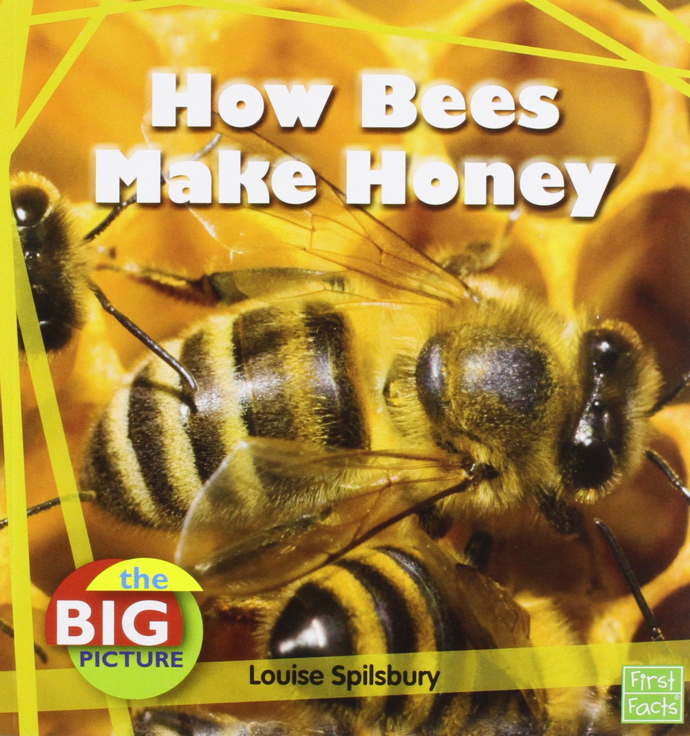 How Bees Make Honey (The Big Picture: Food) (First Facts: The Big Picture: Food)