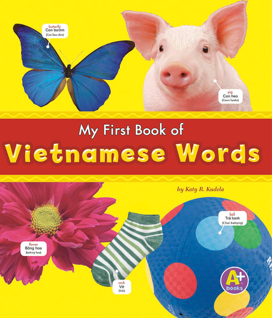 My First Book of Vietnamese Words (A+ Books: Bilingual Picture Dictionaries) (English and Vietnamese Edition)
