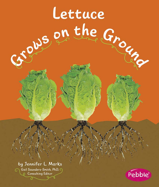 Lettuce Grows on the Ground (How Fruits and Vegetables Grow)
