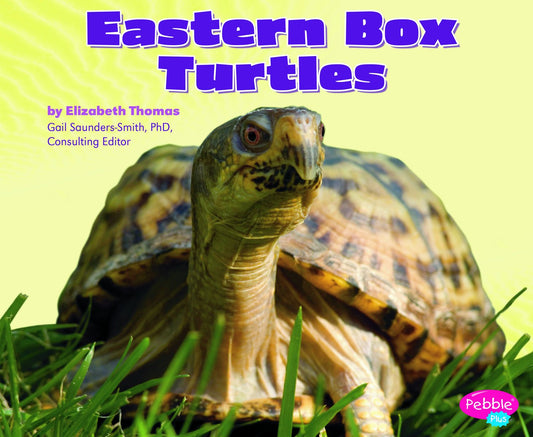 Eastern Box Turtles (Pebble Plus) - 3743