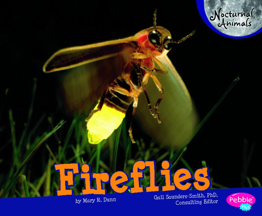 Fireflies (Nocturnal Animals)