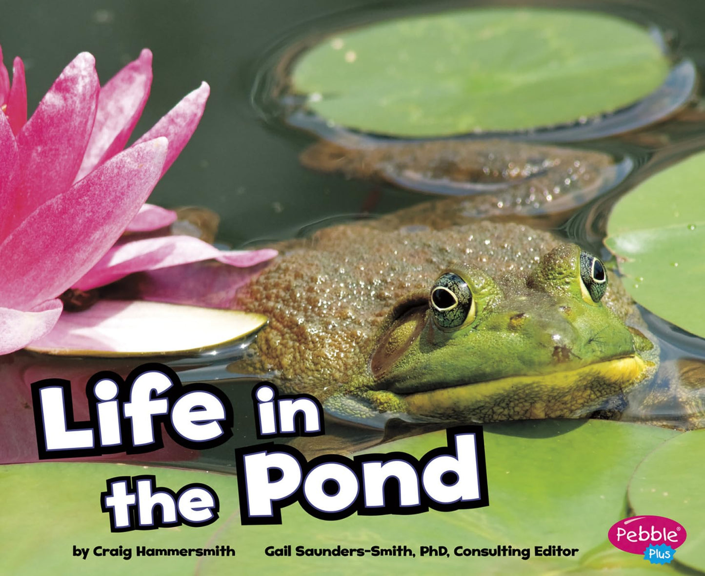 Life in a Pond (Pebble Plus: Habitats Around the World) - 4321