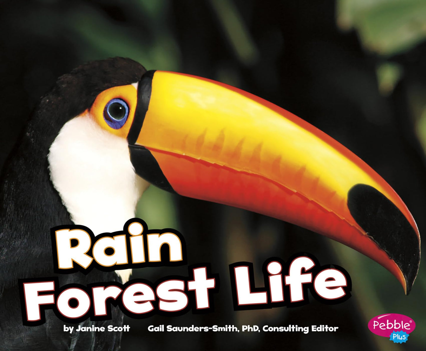 Rain Forest Life (Pebble Plus: Habitats Around the World)