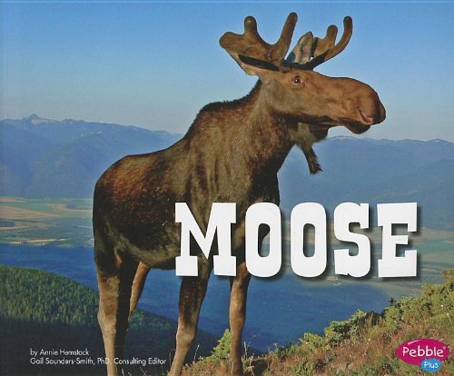 Moose (North American Animals)