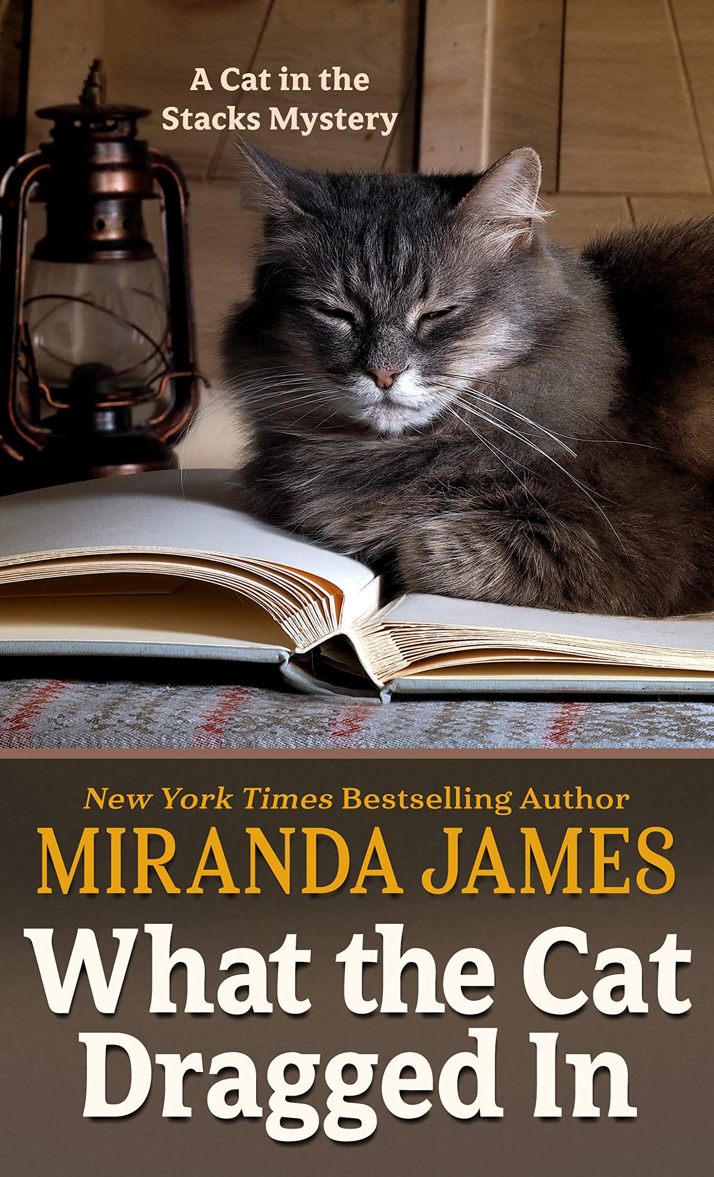 What the Cat Dragged In (Cat in the Stacks Mystery, 14)