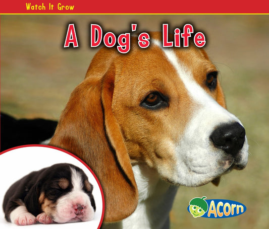 A Dog's Life (Watch It Grow) (Acorn: Watch It Grow)