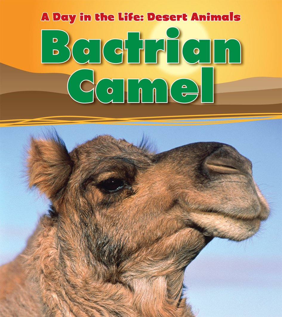 Bactrian Camel (Heinemann Read and Learn: a Day in the Life: Desert Animals)