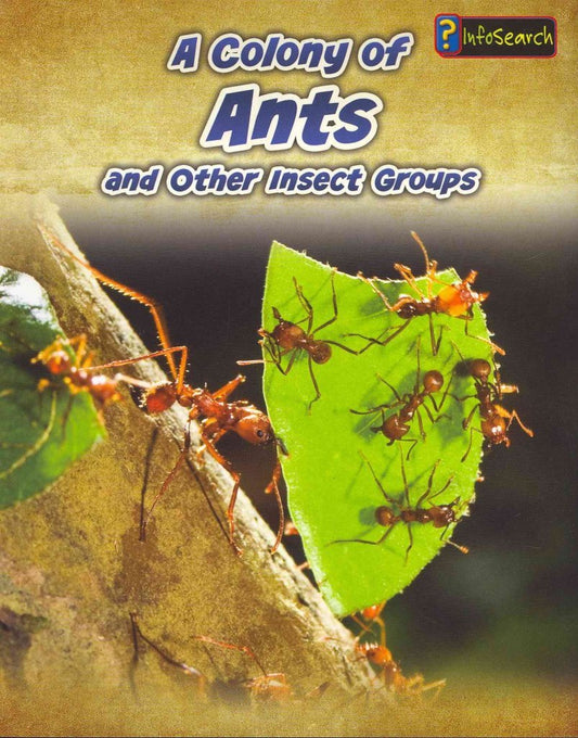 A Colony of Ants: and Other Insect Groups (Animals in Groups)