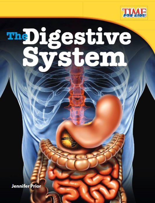 The Digestive System