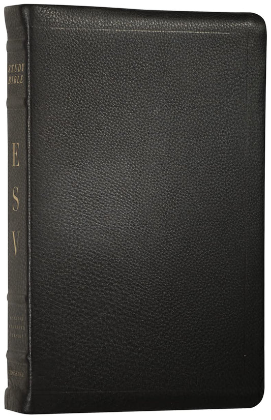 ESV Study Bible (Calfskin, Black) - 9966