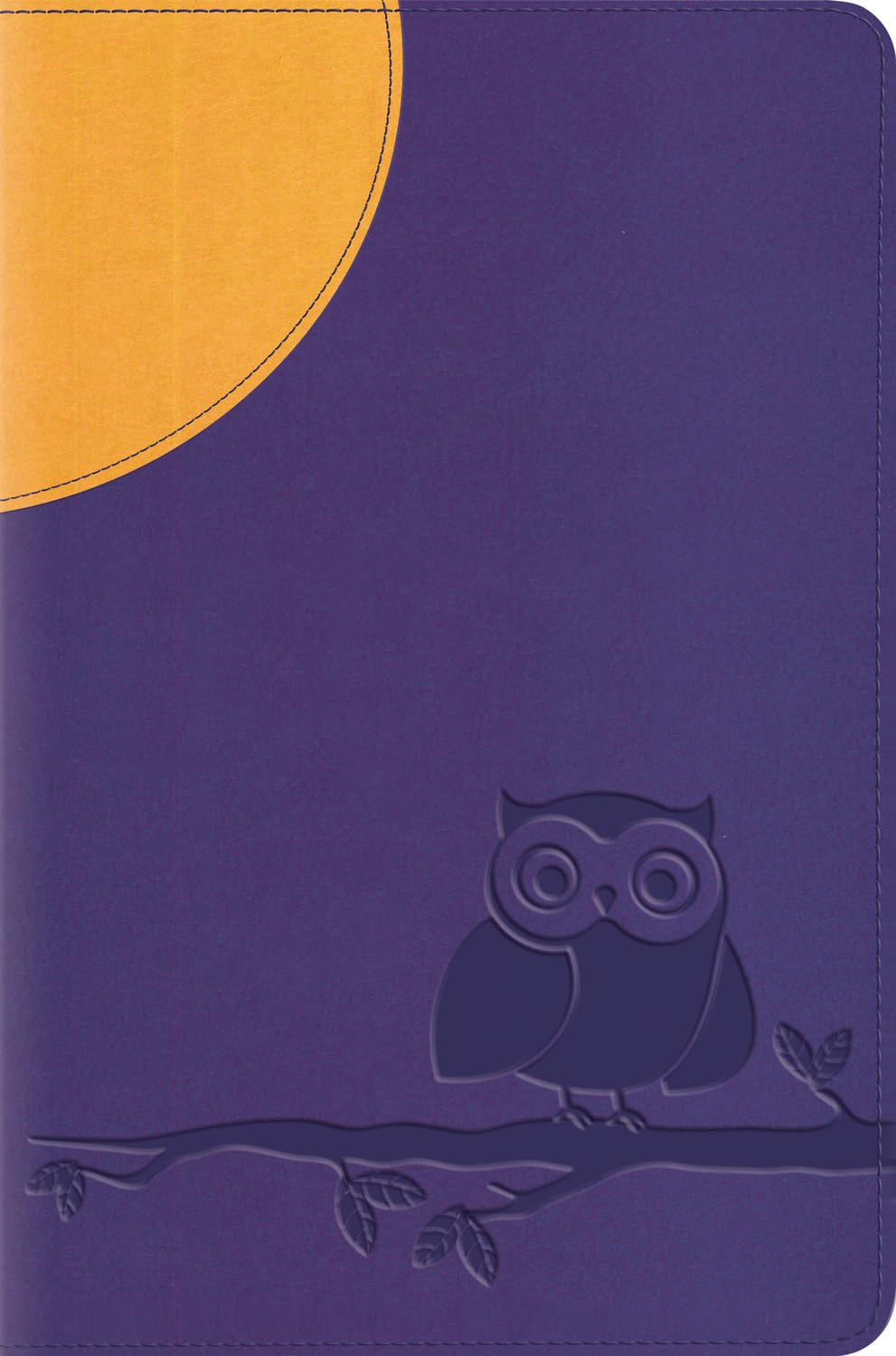 ESV Compact Bible (TruTone, Moonlight Owl)