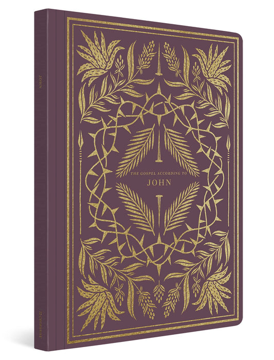 ESV Illuminated Scripture Journal: John - 5401
