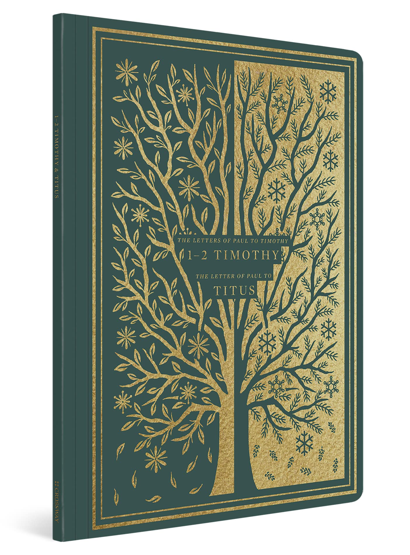 ESV Illuminated Scripture Journal: 1–2 Timothy and Titus (Paperback)