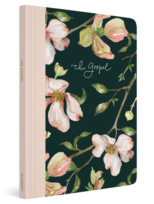 ESV Prayer Journal: 30 Days on the Gospel (Paperback) - 7085
