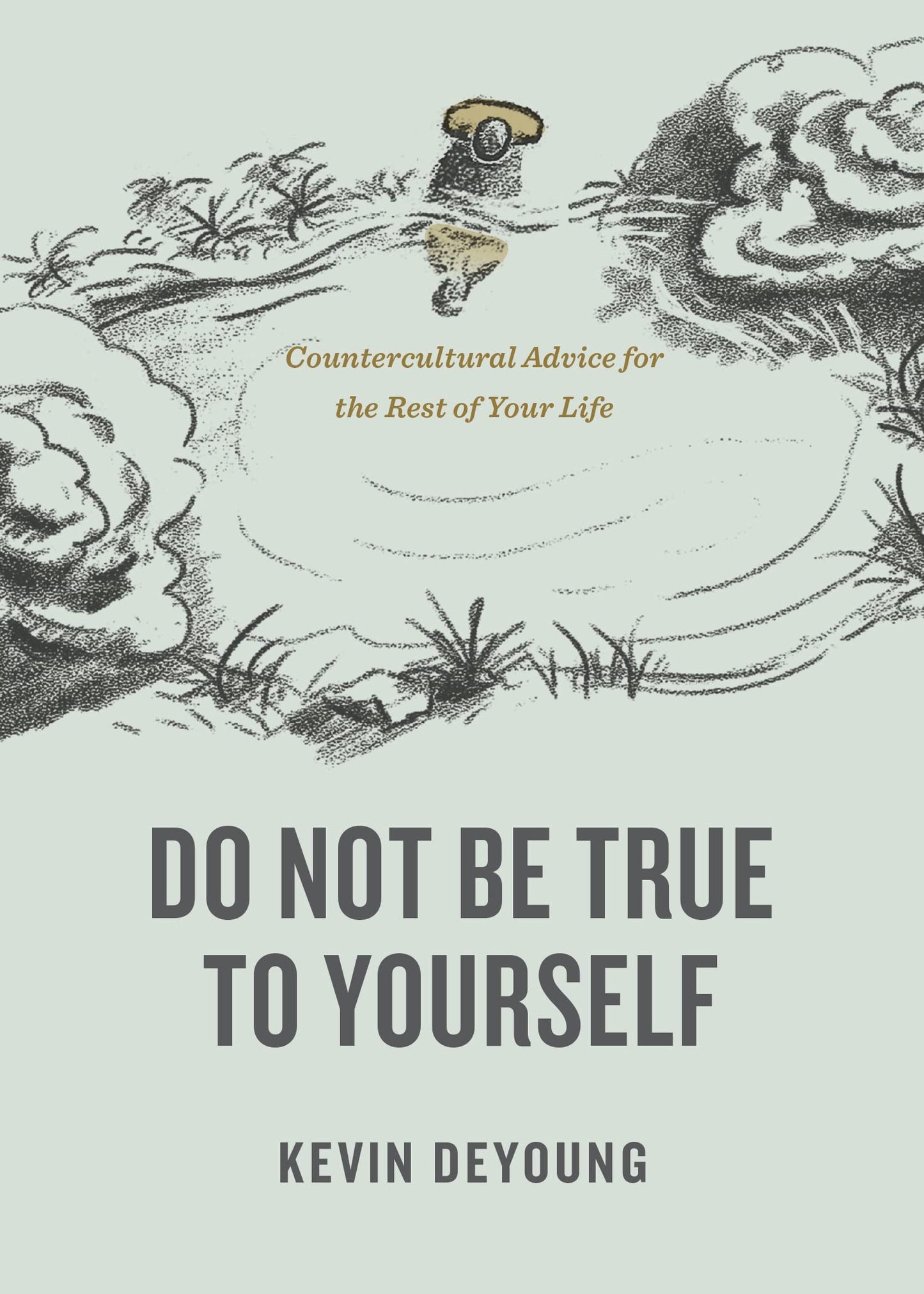 Do Not Be True to Yourself: Countercultural Advice for the Rest of Your Life - 7794