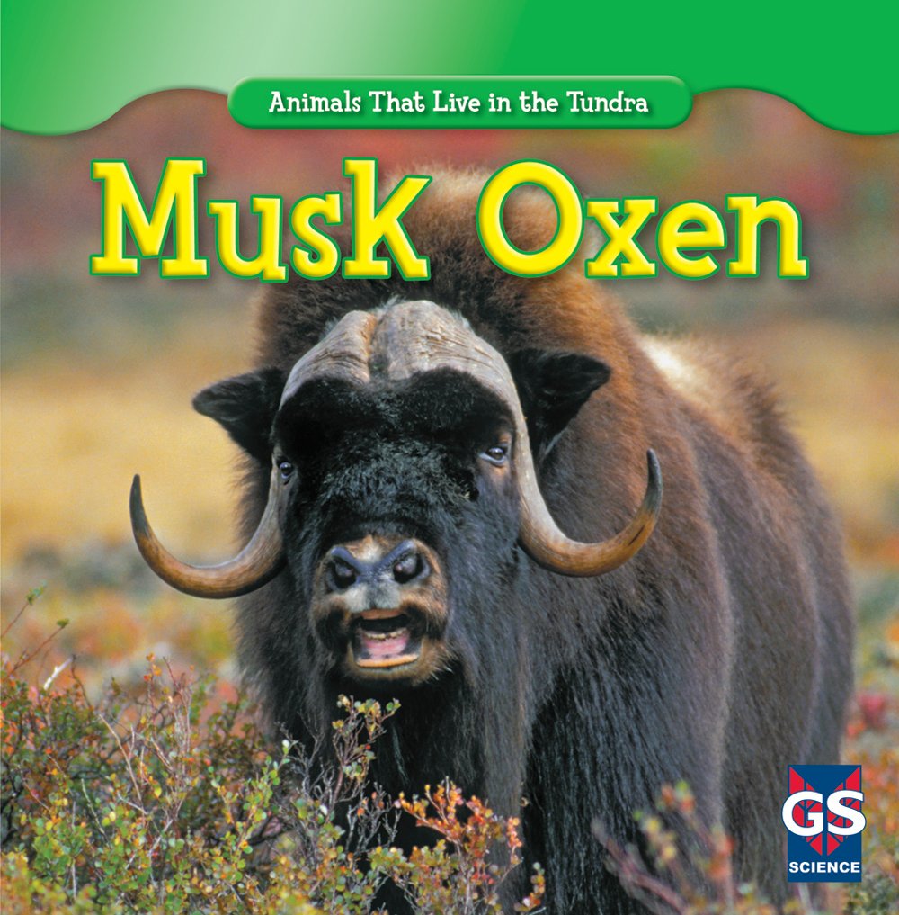 Musk Oxen (Animals That Live in the Tundra)