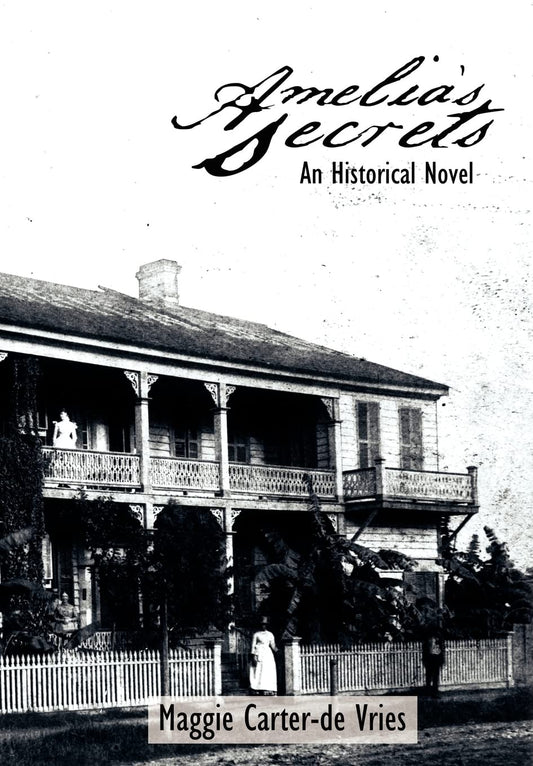 Amelia's Secrets: An Historical Novel