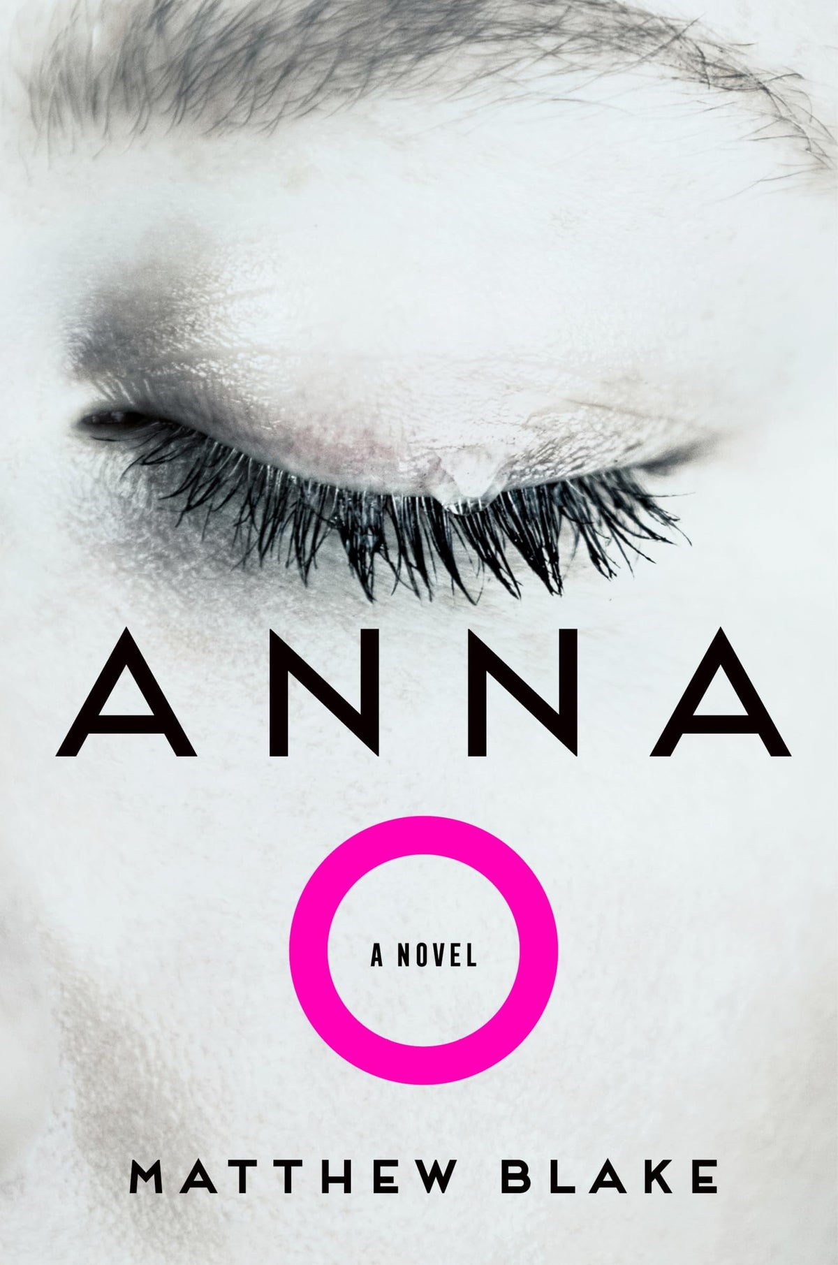 Anna O A Novel