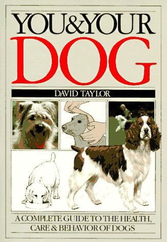 You & your dog