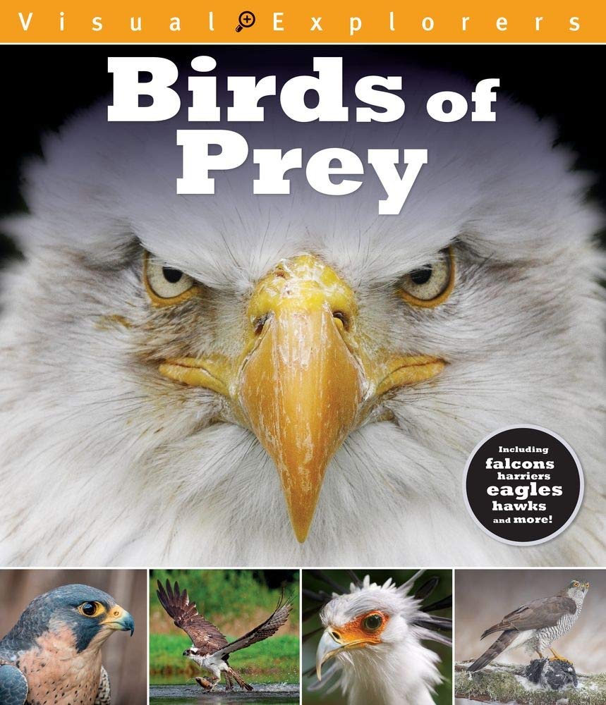 Birds of Prey (Visual Explorers Series)
