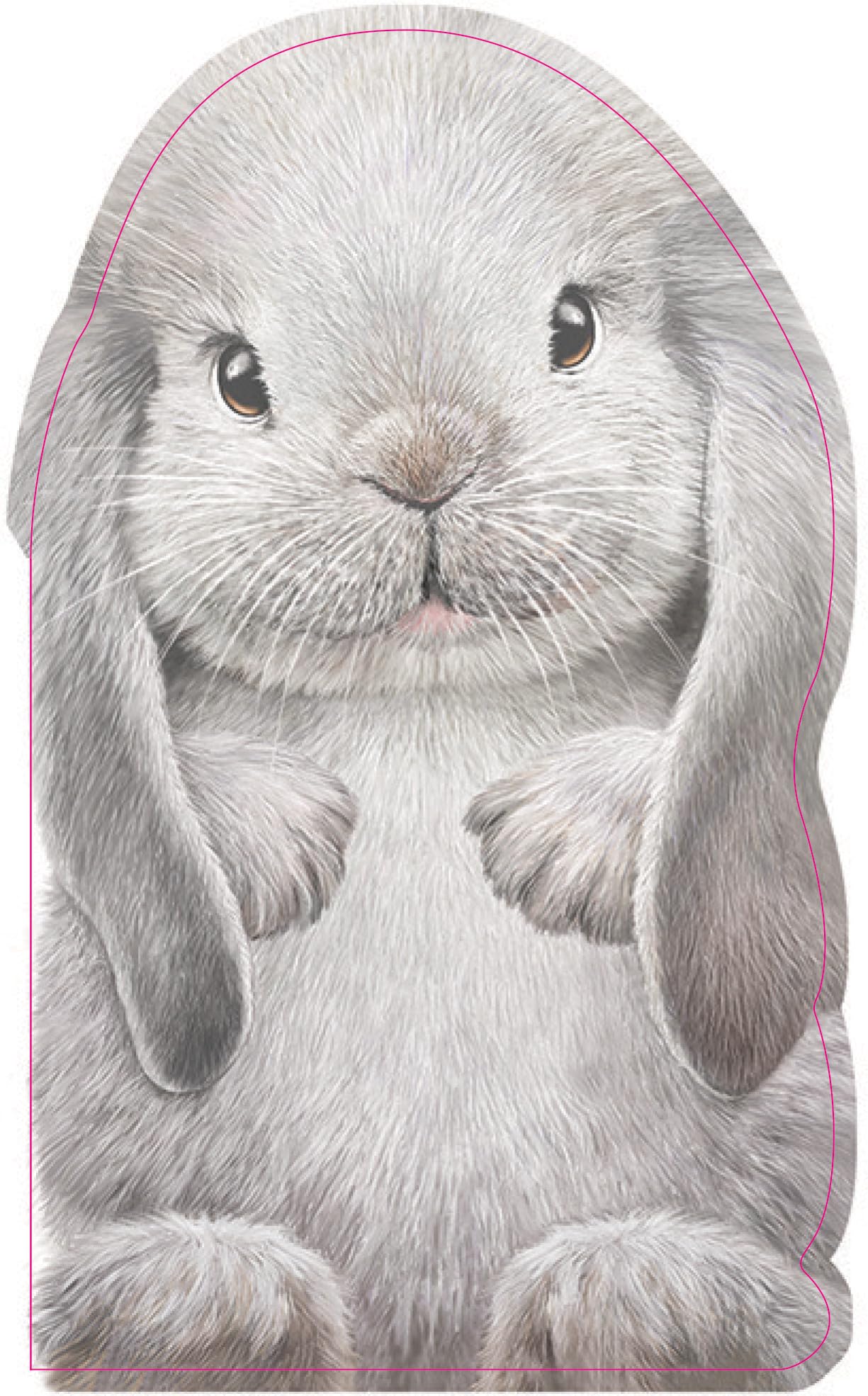 Furry Bunny: A Mini Touch-and-Feel Bunny Book for Babies (Perfect Easter Basket Stuffer or Gift) (The Furry Friends)