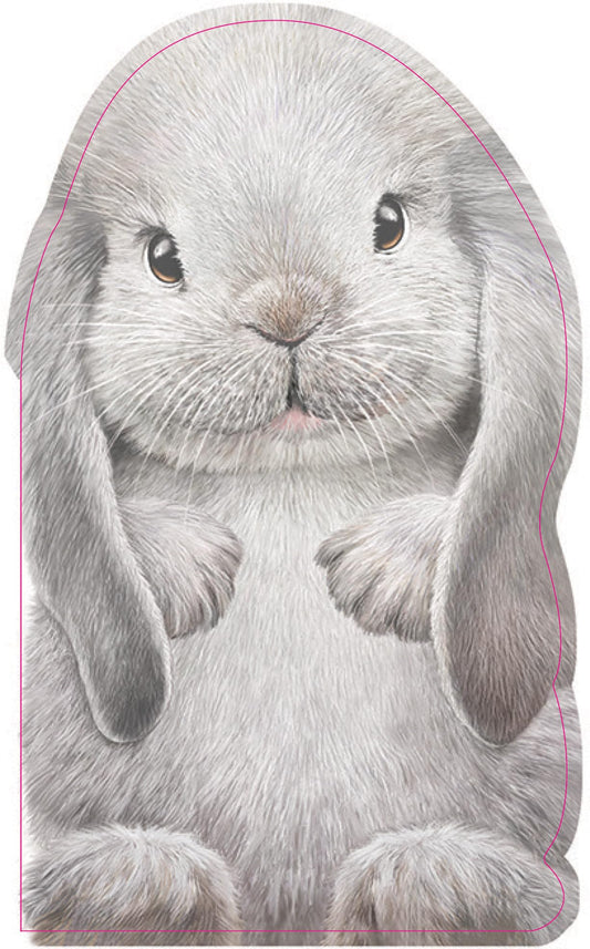Furry Bunny: A Mini Touch-and-Feel Bunny Book for Babies (Perfect Easter Basket Stuffer or Gift) (The Furry Friends)