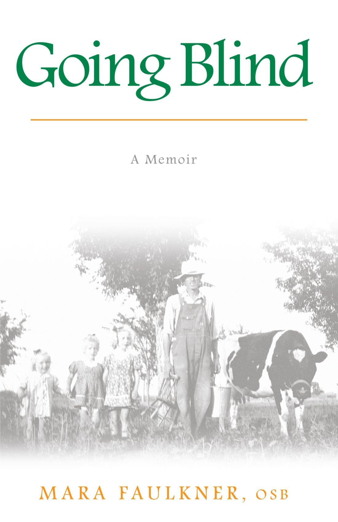 Going Blind: A Memoir (Excelsior Editions)
