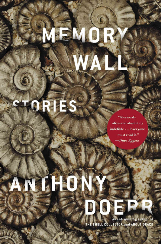 Memory Wall: Stories - 3009