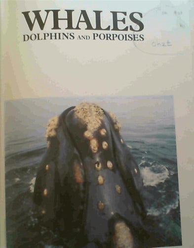 Whales, dolphins, and porpoises