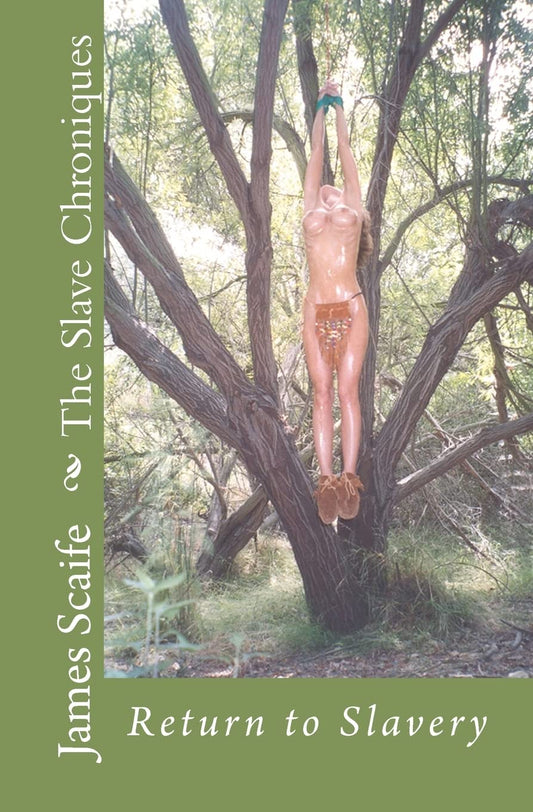 The Slave Chroniques Book 5: Return To Slavery - 9765