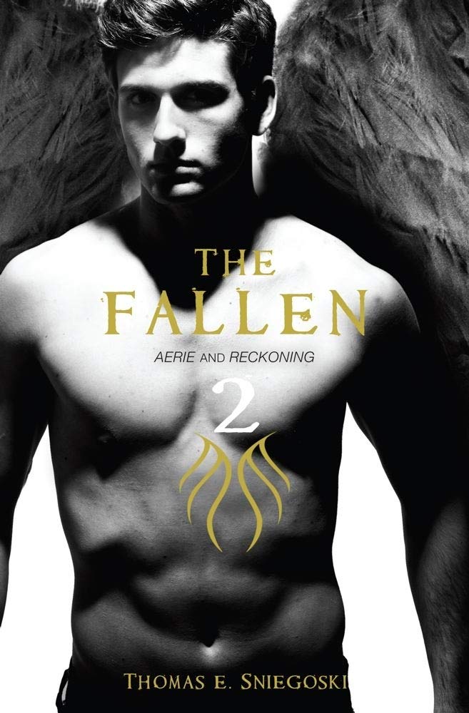 THE FALLEN 2: AERIE AND RECKONIN