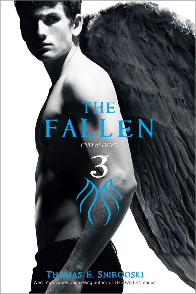 The Fallen 3: End of Days (3)