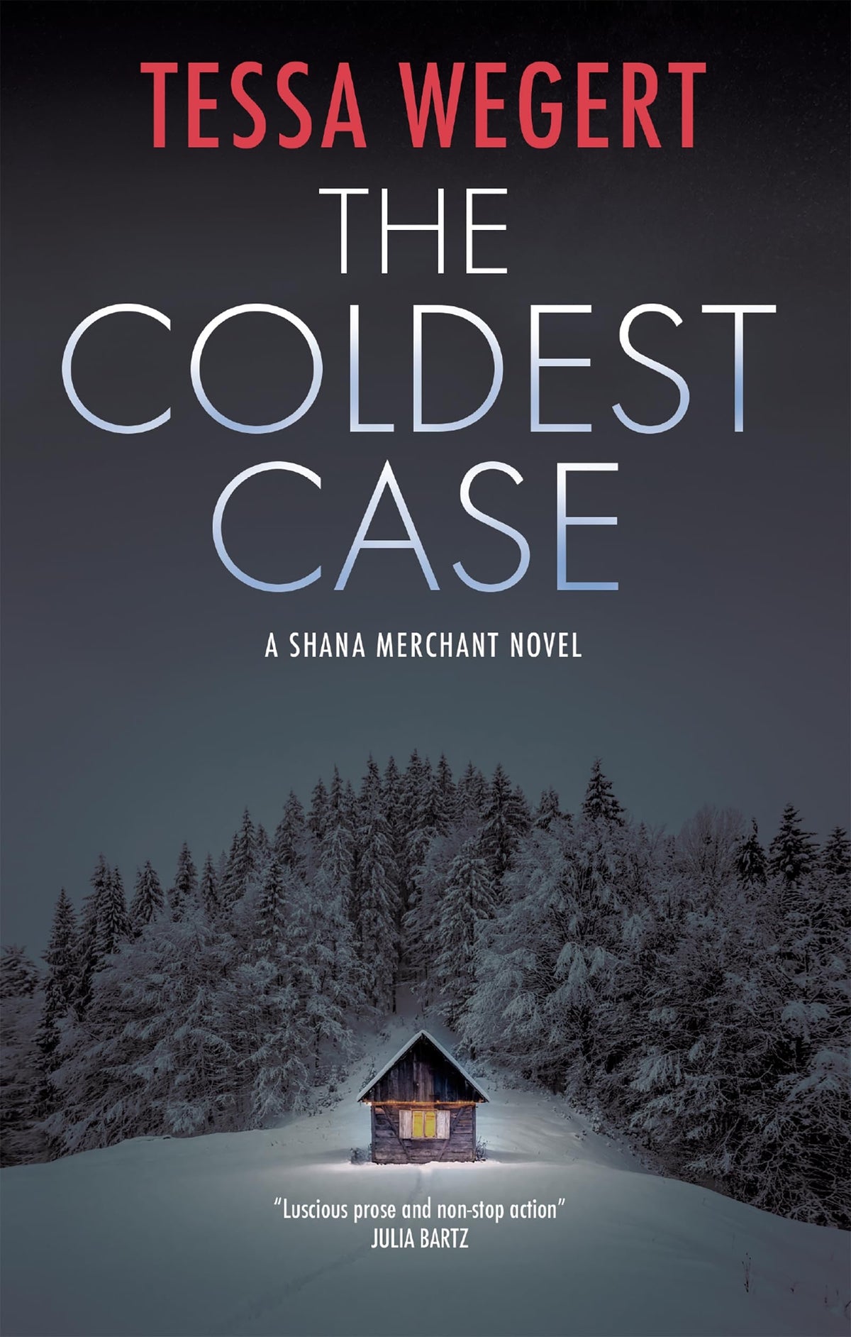 The Coldest Case (A Shana Merchant Novel, 6)