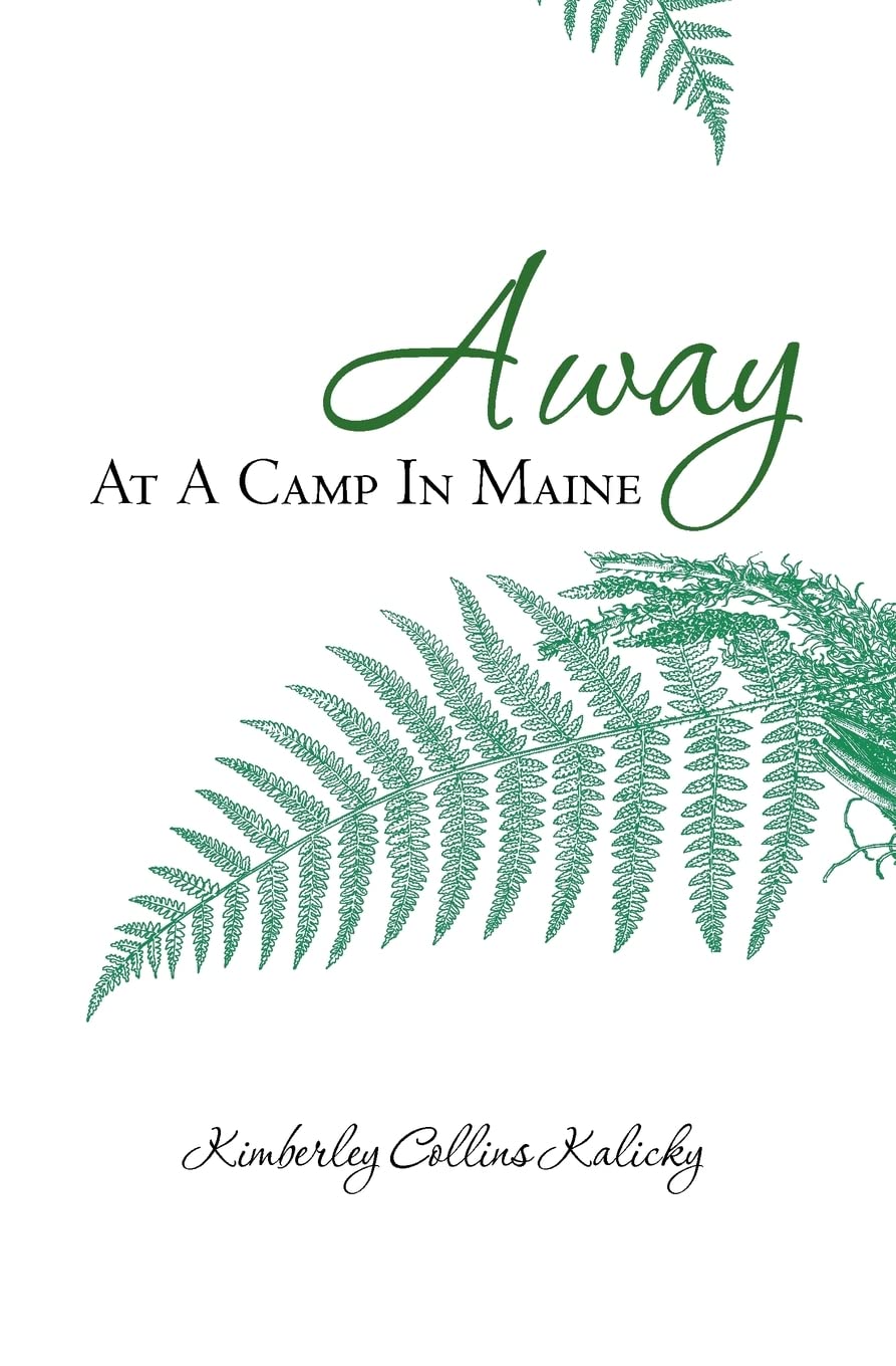 Away At A Camp In Maine - 8091