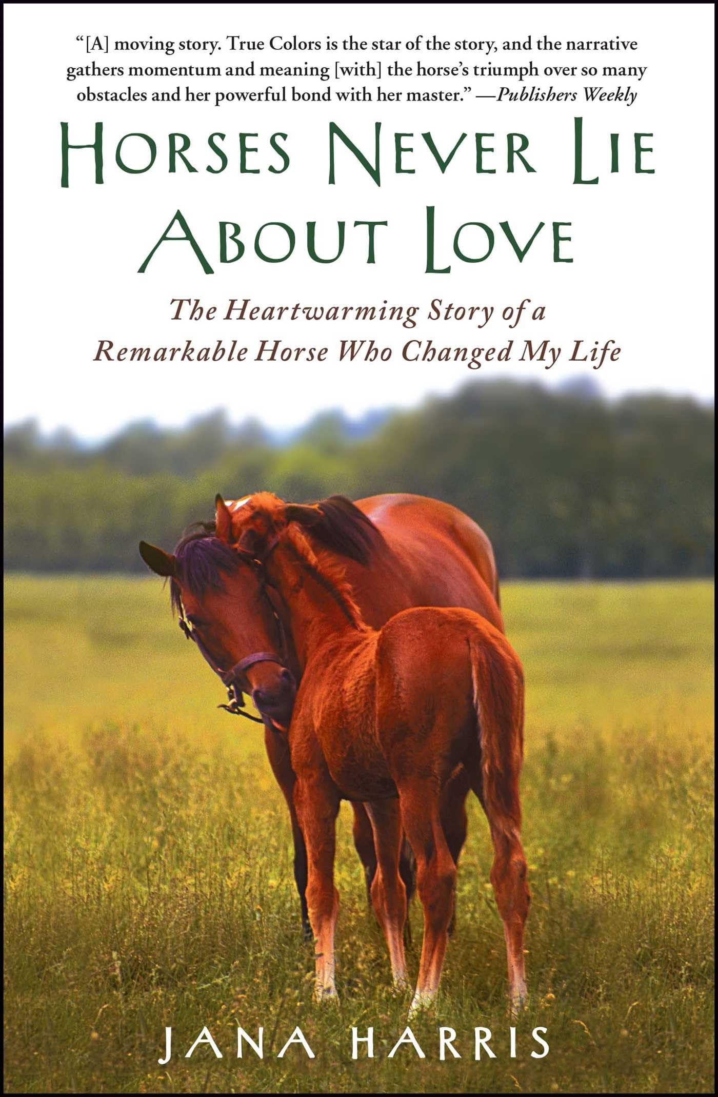 Horses Never Lie About Love: The Heartwarming Story of a Remarkable Horse Who Changed My Life