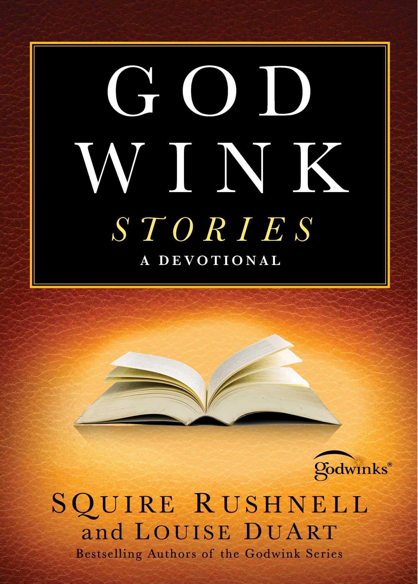Godwink Stories: A Devotional (3) (The Godwink Series) - 4686