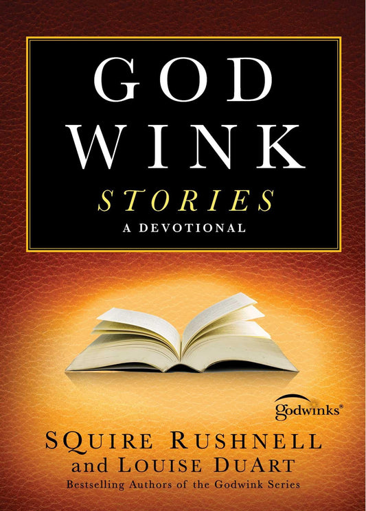 Godwink Stories: A Devotional (3) (The Godwink Series) - 4686