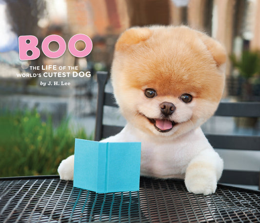 Boo: The Life of the World's Cutest Dog (Halloween Books for Kids, Halloween Books for Toddlers, Cute Halloween Stories)