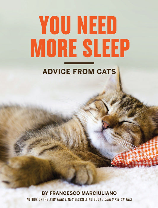 You Need More Sleep: Advice from Cats - 1458