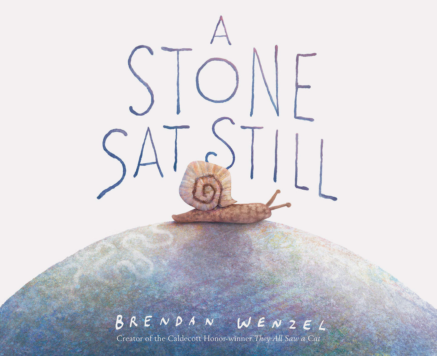 A Stone Sat Still: (Environmental and Nature Picture Book for Kids, Perspective Book for Preschool and Kindergarten, Award Winning Illustrator) (Brendan Wenzel) - 5814