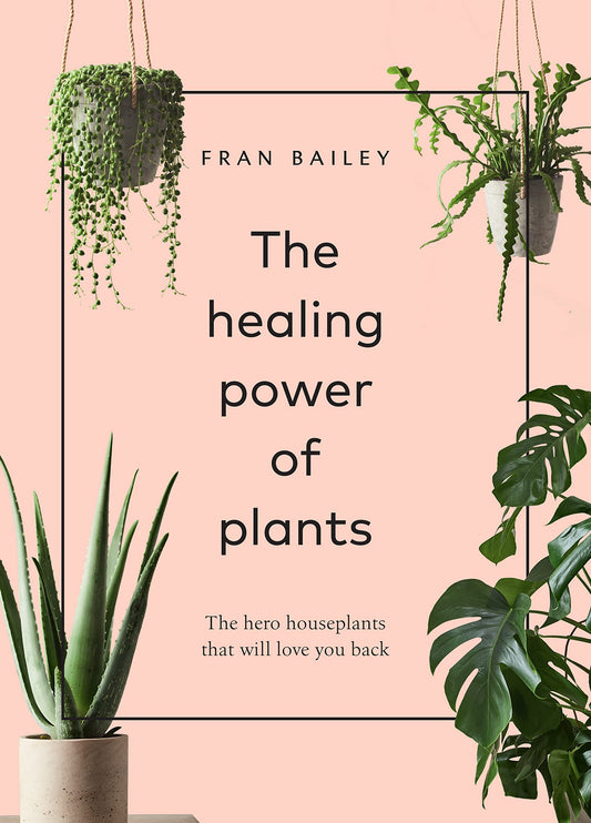 The Healing Power of Plants: The Hero Houseplants That Will Love You Back - 2221