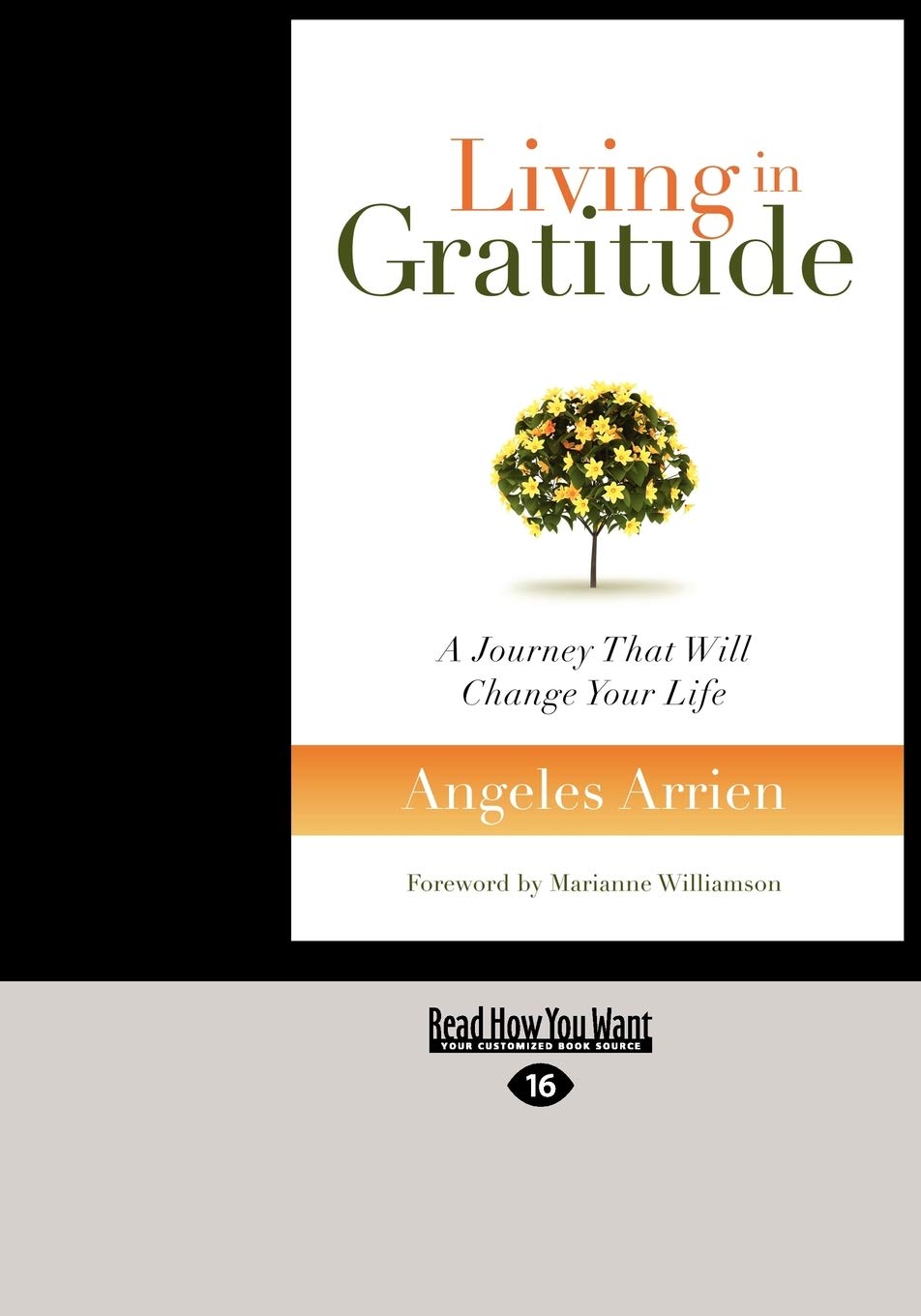 Living in Gratitude: A Journey That Will Change Your Life