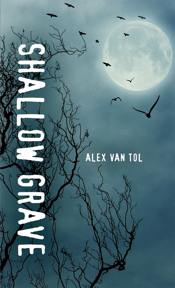 Shallow Grave (Orca Soundings)