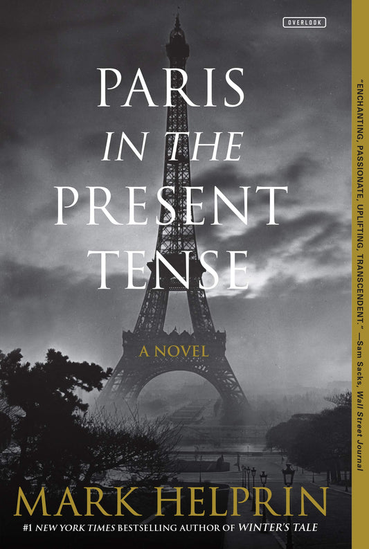 Paris in the Present Tense: A Novel - 4257